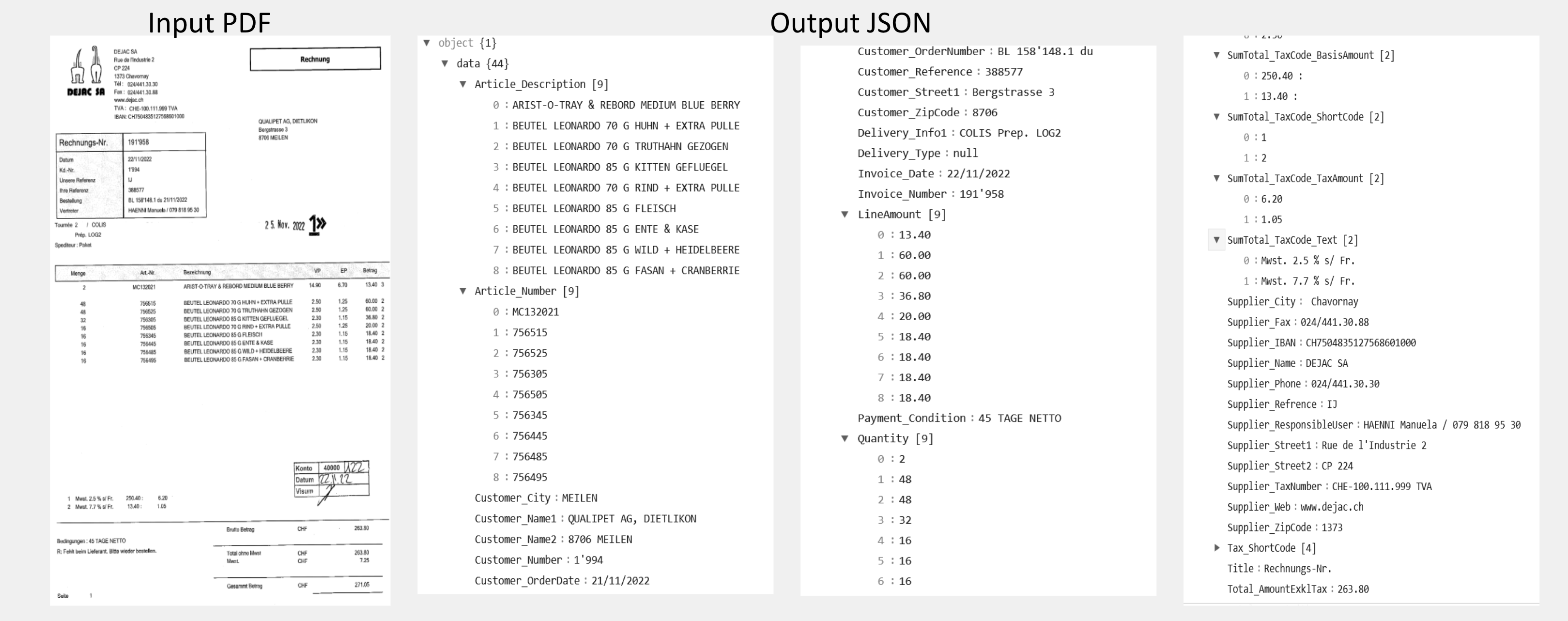 German Invoice Data Extraction