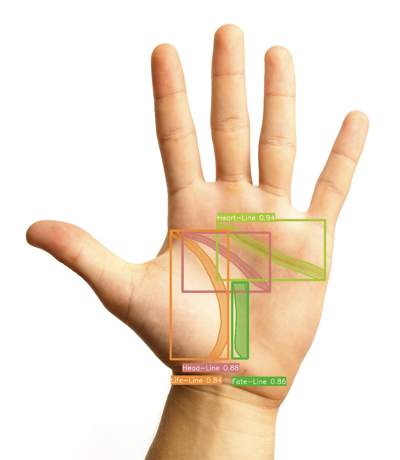Segmentation using YOLO
